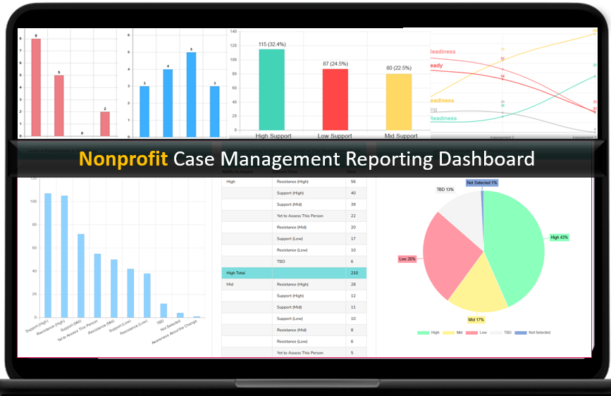 Nonprofit Case Management Reporting Dashboard