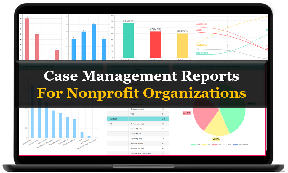 Case Management Reports For Nonprofit Organizations